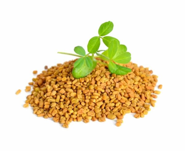 Fenugreek Seeds