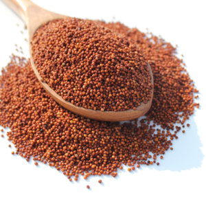 Finger Millet (Ragi)