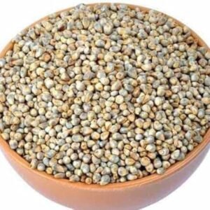 Pearl Millet (Kambu)
