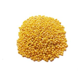 Proso Millet (Panivaragu)