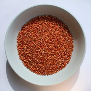 Red Sorghum (Cholam)