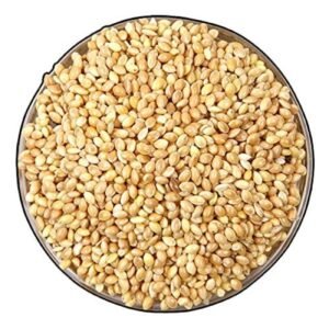 Foxtail Millet (Thinai)