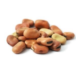Broad Bean