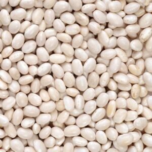 Navy Bean
