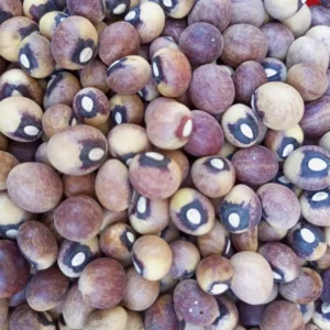 Bambara Beans