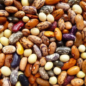 Dry Beans