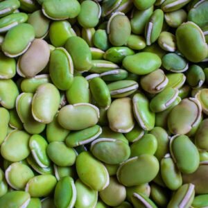 Lima Bean