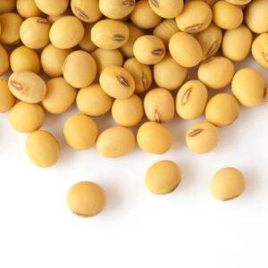Soy Bean